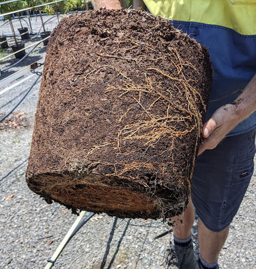 Soil-Enhancers-img